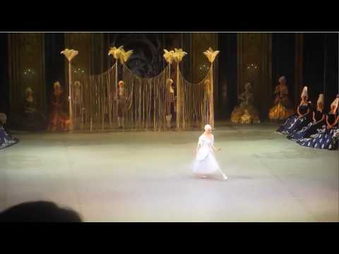 Ekaterina Borchenko. "Flames of Paris"