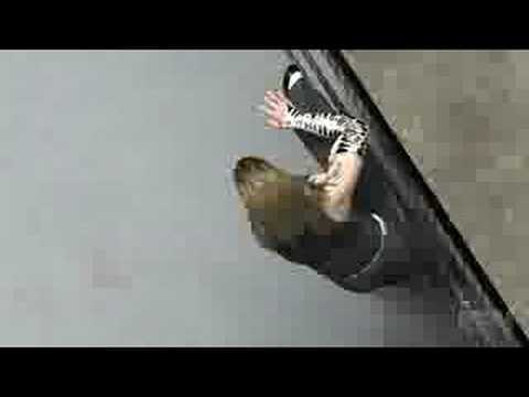 WWE SmackDown vs. Raw 2009 Xbox 360 Trailer