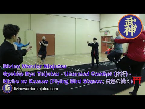 Gyokko Ryu Taijutsu - Unarmed Combat (体術) - Hicho no Kamae (Flying Bird Stance, 飛鳥の構え)