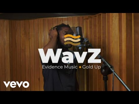 Dahvid Slur - On A Journey | WavZ Session