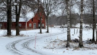 Tracteur &agrave; roues Volvo T 500 | Image 4 - Agroline