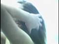 Stripped--Shiny Toy Guns 