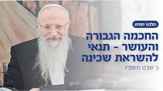 החכמה הגבורה והעושר - תנאי להשראת שכינה | הרב שמואל אליהו | הלכה יומית | ג׳ שבט תשפ״ו (הרב שמואל אליהו) - התמונה מוצגת ישירות מתוך אתר האינטרנט יוטיוב. זכויות היוצרים בתמונה שייכות ליוצרה. קישור קרדיט למקור התוכן נמצא בתוך דף הסרטון החכמה הגבורה והעושר - תנאי להשראת שכינה | הרב שמואל אליהו | הלכה יומית | ג׳ שבט תשפ״ו (הרב שמואל אליהו) - התמונה מוצגת ישירות מתוך אתר האינטרנט יוטיוב. זכויות היוצרים בתמונה שייכות ליוצרה. קישור קרדיט למקור התוכן נמצא בתוך דף הסרטון