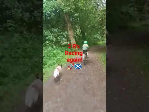 The 2 R's ripping it through the cover. 'The Cover' is an ancient wetland forest next to Loch Ness