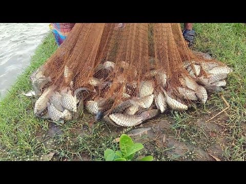 download lagu mp3 mp4 Natural Fish Net, download lagu Natural Fish Net gratis, unduh video klip Natural Fish Net