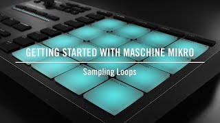 Sampling Loops on MASCHINE MIKRO | Native Instruments