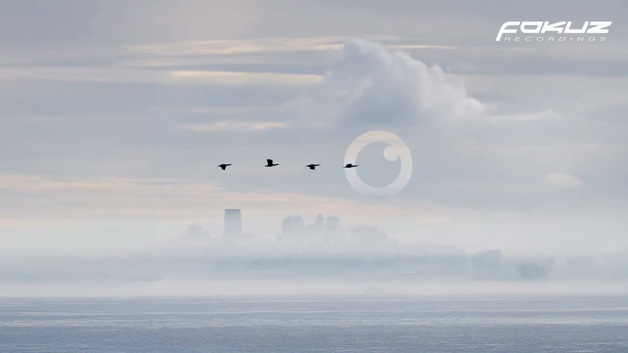 Cnof & Salem Focus - Double Or Nothing