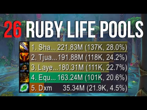 RANK 1 OUTLAW 26 Ruby Life Pools - double rogue