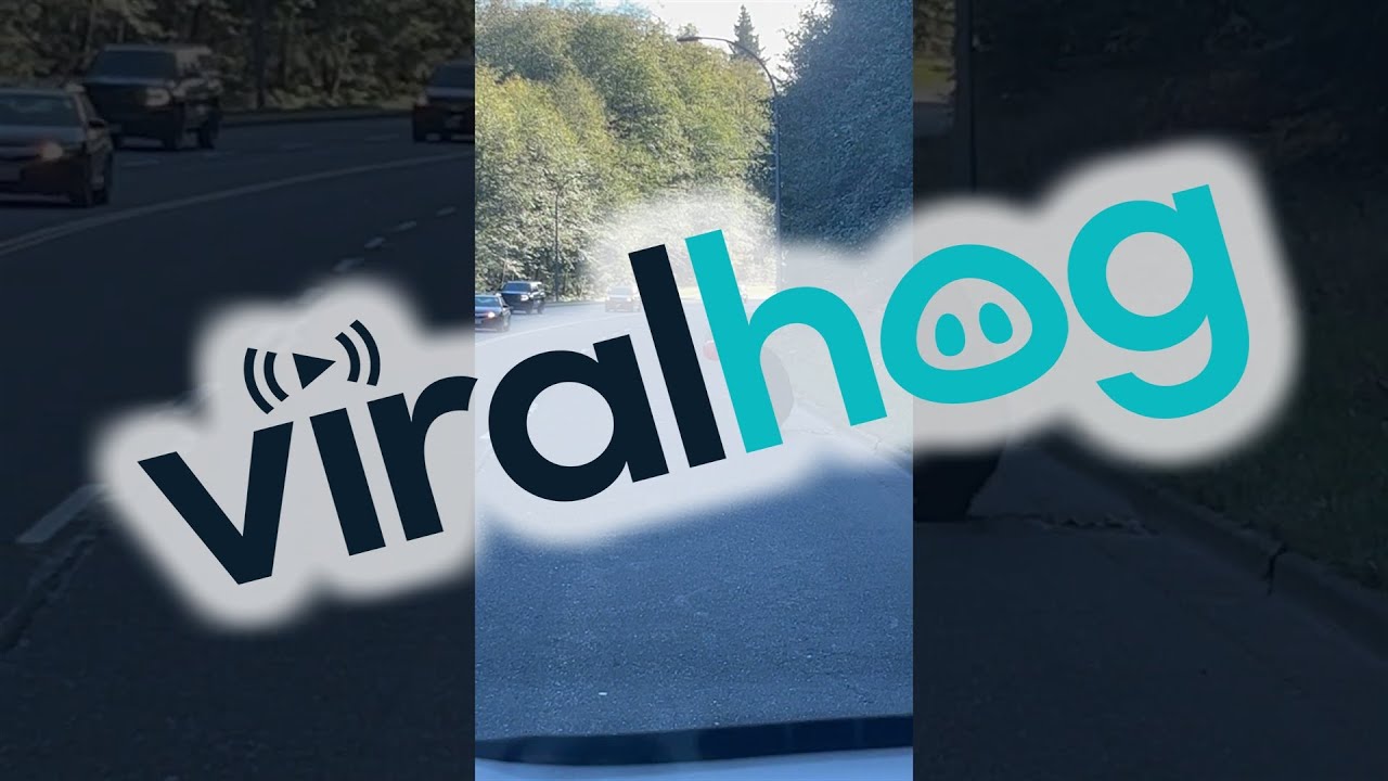 YouTube video preview