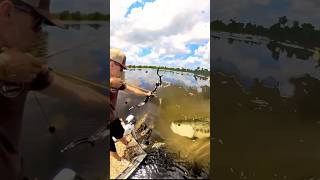Download lagu Memanah ikan di sungai amazon! Dapat piranha besar #piranha #bowfishing #amazing mp3