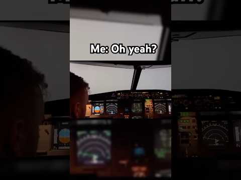 Planes can land in fog #aviation #fog #landing