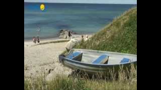 preview picture of video 'Ferienhaus Urlaub Tisvildeleje Dänemark - Feline Holidays'