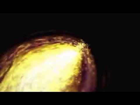 Armin van Buuren vs Tujamo - This Is What It Feels Like vs Boneless Majlo Mashup