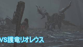 【モンスターハンター：ワイルズ】女王より先に王様に会っちゃった　ＶＳ護竜リオレウス