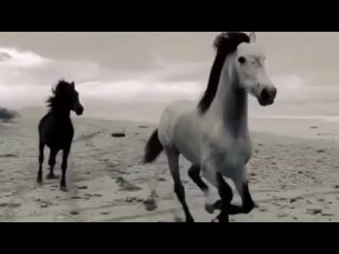 Yürek Sancısı- İpek Karabağır