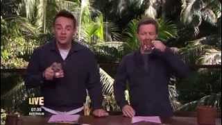 Ant and Dec&#39;s &quot;Apology Time&quot; - I&#39;m A Celebrity 2015