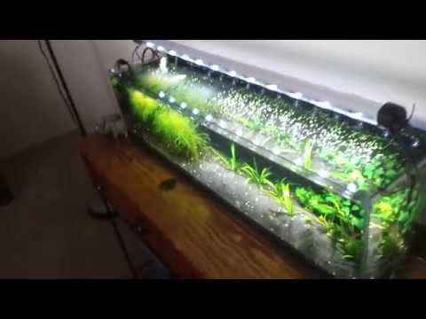 download lagu mp3 mp4 Mr Aqua, download lagu Mr Aqua gratis, unduh video klip Mr Aqua