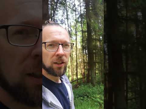 The Battle of Falkirk 1298/ Callendar wood