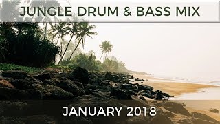 ► Jungle Drum & Bass Mix - January 2018