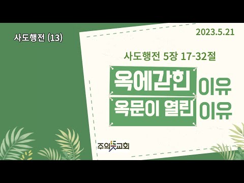 사도행전 강해(13), 사도행전 5장 17-32절, 옥에 갇힌 이유, 옥 문이 열린 이유, 양성찬 목사 영상 썸네일