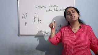 How do enzymes bring about High Rates of Chemical Conversions