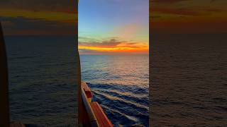 Epic Ocean Views from Royal Princess #shorts #PrincessCruises