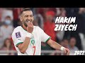 Hakim Ziyech 2022/2023 ● Best Skills & Goals ● [HD]