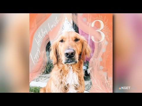 Birthday parade held for family dog