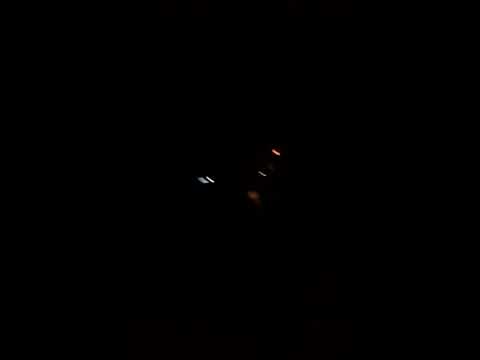 Zahida Abbasi.  Beauty Of. Nature   Cats.  Animal