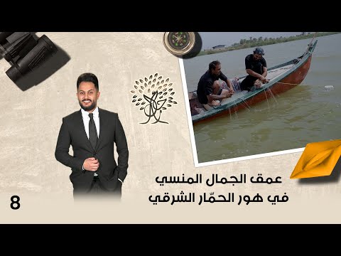 فيديو | عمق الجمال المنسي في هور الحمّار الشرقي - رحال م٦- الحلقة ٨