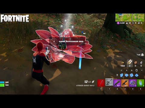 Video preview