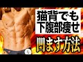 【下腹部痩せ】猫背でもぽっこりお腹とおさらば出来るトレーニング!!!!!【日体大准教授が徹底解説】