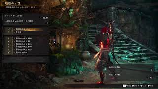 【いきなり悟りで慶安初見】仁王3