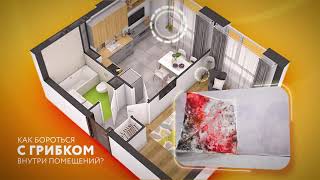 Состав антисептический Типром А — Как бороться с плесенью и грибком внутри помещений? — фото