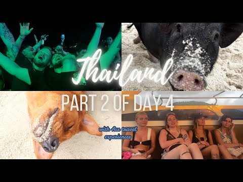 Pig Island, Snorkelling & Partying
