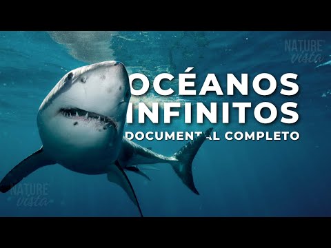 OCÉANOS INFINITOS | Un Viaje por los Océanos del Mundo - Documental Completo