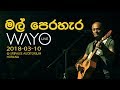 WAYO Live Mal Perahara මල් පෙරහැර