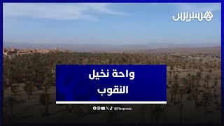واحة النخيل ببلدة الـ45.. قصبة تصارع من أجل البقاء بسبب الجفاف‎ thumbnail