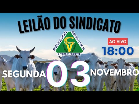 Leilão Sindicato Rural Campina Verde - 03 de Novembro 2025
