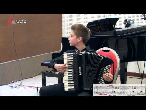 Jevgenij Derbenko: Rock-toccata - Martin Kutnar, harmonika / Bistrički ZVUKOLIK 2014.