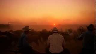 Emmylou Harris - Ballad of a Runaway Horse