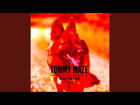 Keep The Funk (Tony H Remix)