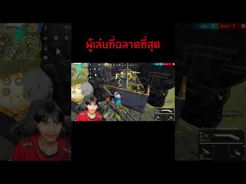 ฟีฟาย