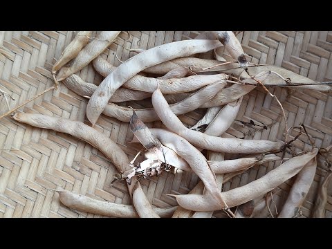 Pahad में बहुत मेहनत करनी पड़ती है 🌄#soni dashoni vlogs 💐🌹🌹💝