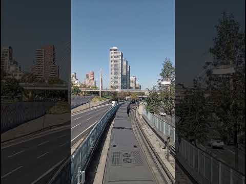 Metro de Santiago Línea 2 (NS16) ingresando a Estación Santa Ana