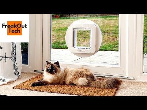 5 Incredible Inventions For Your Cat #11 ✔ Video