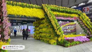 世界らん展 2020 会場の様子