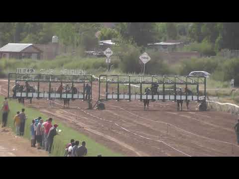 Stolin - JCN 03 de marzo