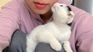 My Kitten Shows His Affection To Me - Cutest Kitten Ever!!