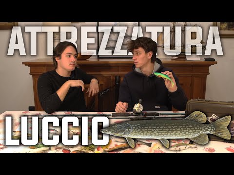 ATTREZZATURA SPINNING/CASTING PER IL LUCCIO + CONSIGLI